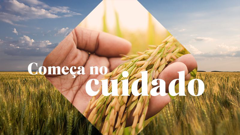 Referência lavoura 2