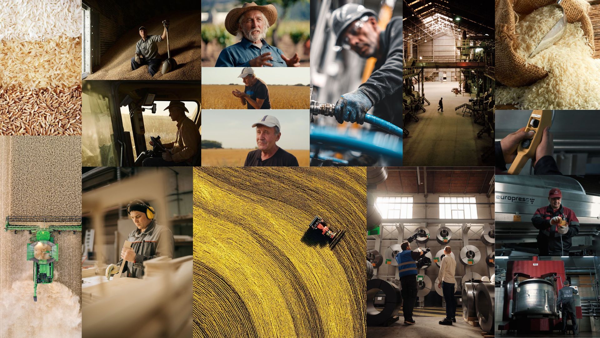 Moodboard — referências visuais Pilecco Nobre 50 Anos